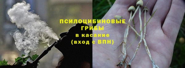 ECSTASY Алзамай