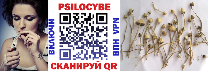 Галлюциногенные грибы MAGIC MUSHROOMS Безенчук