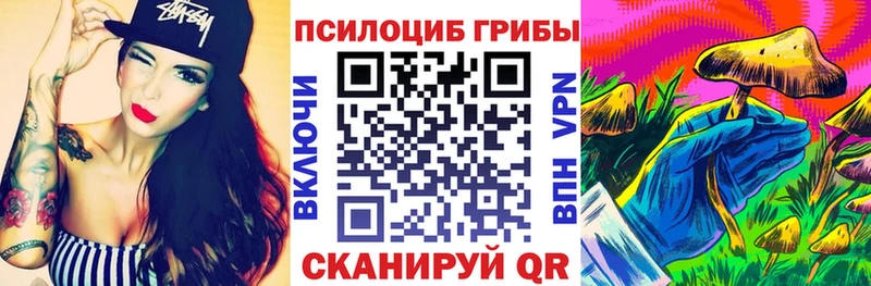 Галлюциногенные грибы Psilocybe Безенчук
